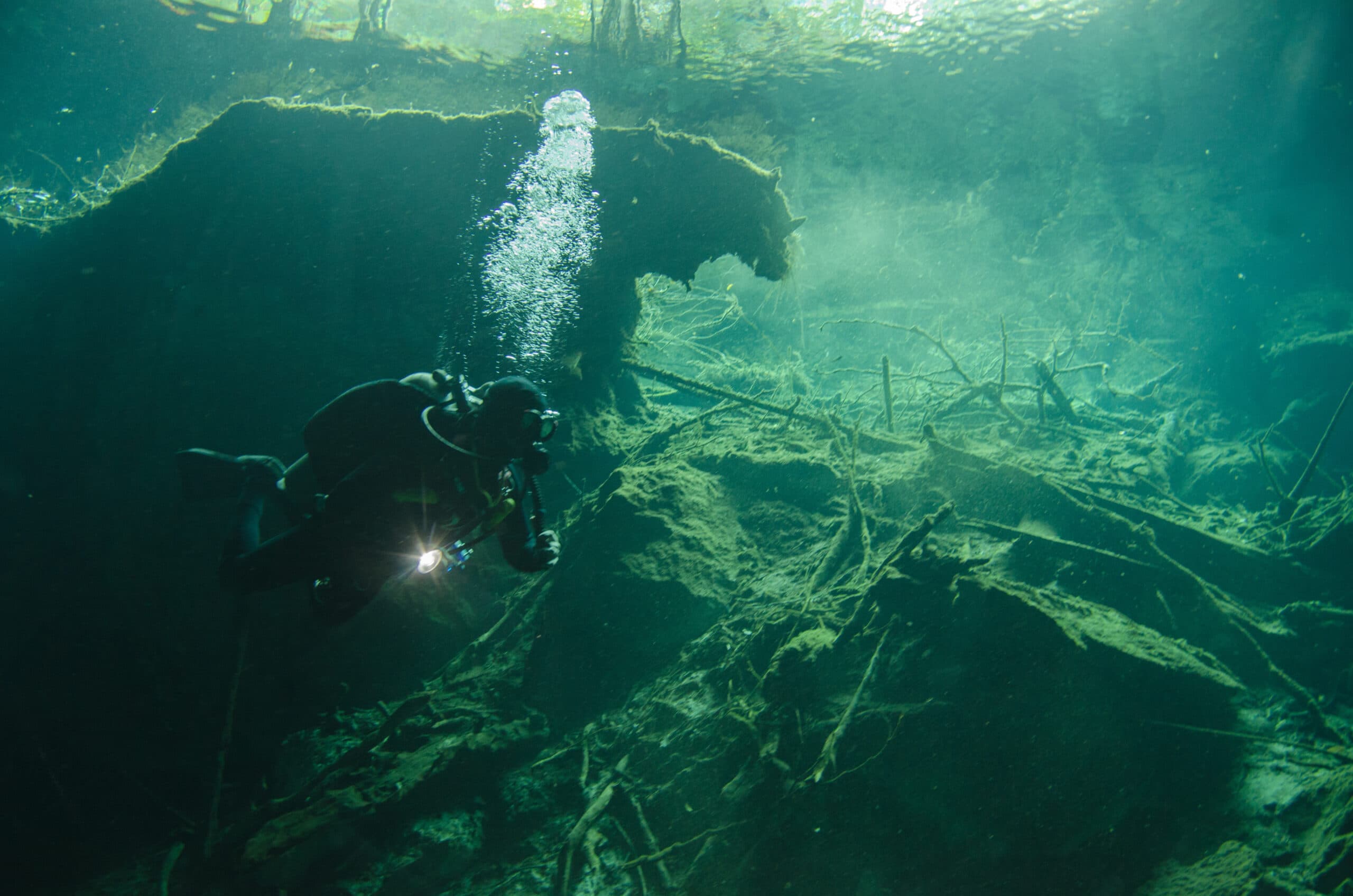 Back from the Seabed